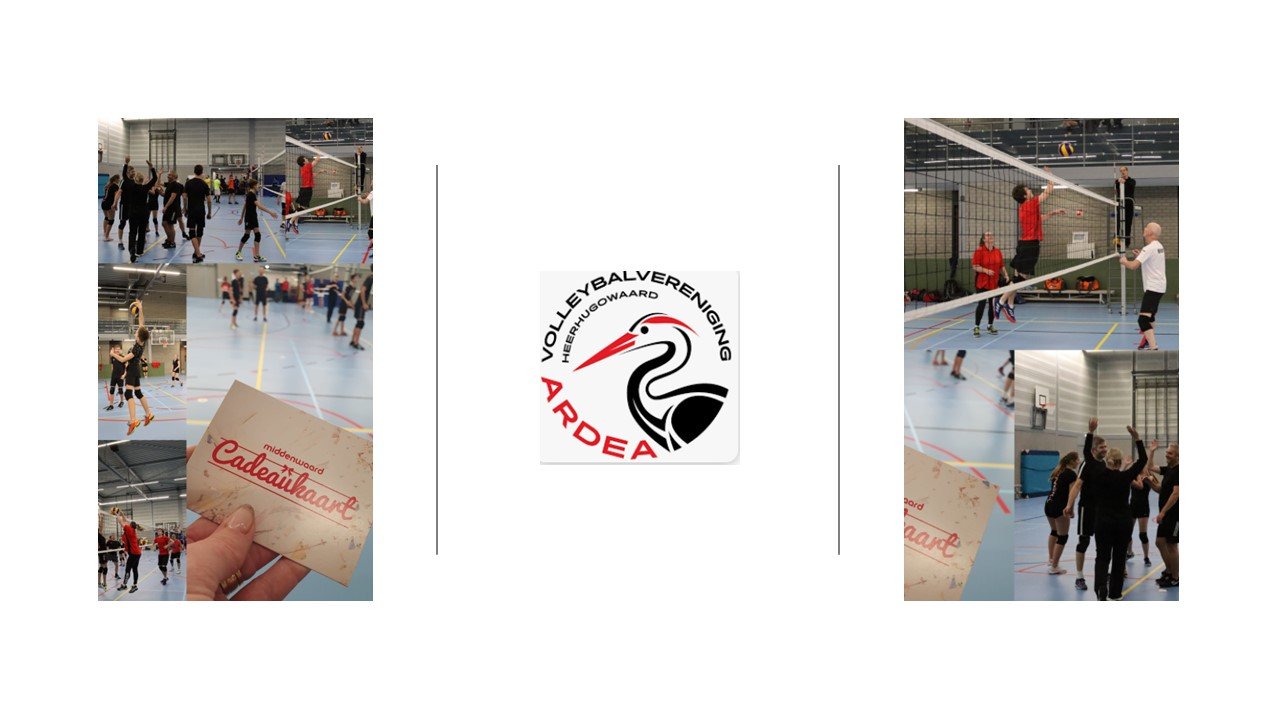 8.3 fotocollage ardea
