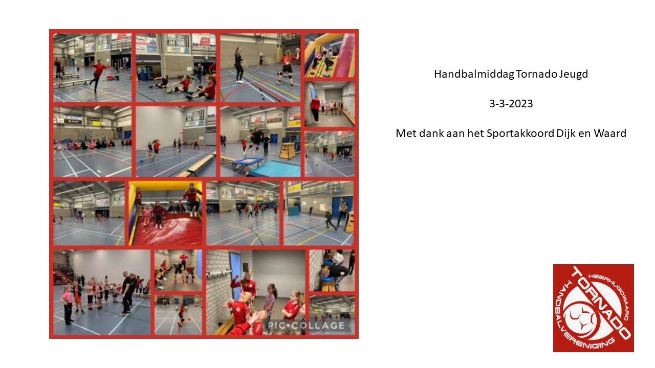 44.3 fotocollage